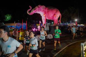 BIB: 
                            <button type="button" onclick="openModal(26552281)" class="btn btn-primary btn-sm float-right btn-popup" data-toggle="modal" data-target=".modal-high-quality">
                        <i class="fas fa-shopping-cart"></i> Add to Cart
                    </button>
                                            <button type="button" onclick="isThisMe(26552281, true)" class="btn btn-success btn-sm float-right btn-popup btn-isme hidden" data-toggle="tooltip" data-placement="bottom" title="นี่คือรูปของคุณใช่ไหม คลิกที่นี่เพื่อเอาเข้าอัลบั้ม">
                        <i class="fas fa-plus"></i> Add to album
                    </button>
                    <button type="button" onclick="isThisMe(26552281, false)" class="btn btn-warning btn-sm float-right btn-popup btn-isnotme hidden">
                        <i class="fas fa-ban"></i> Remove from album
                    </button>